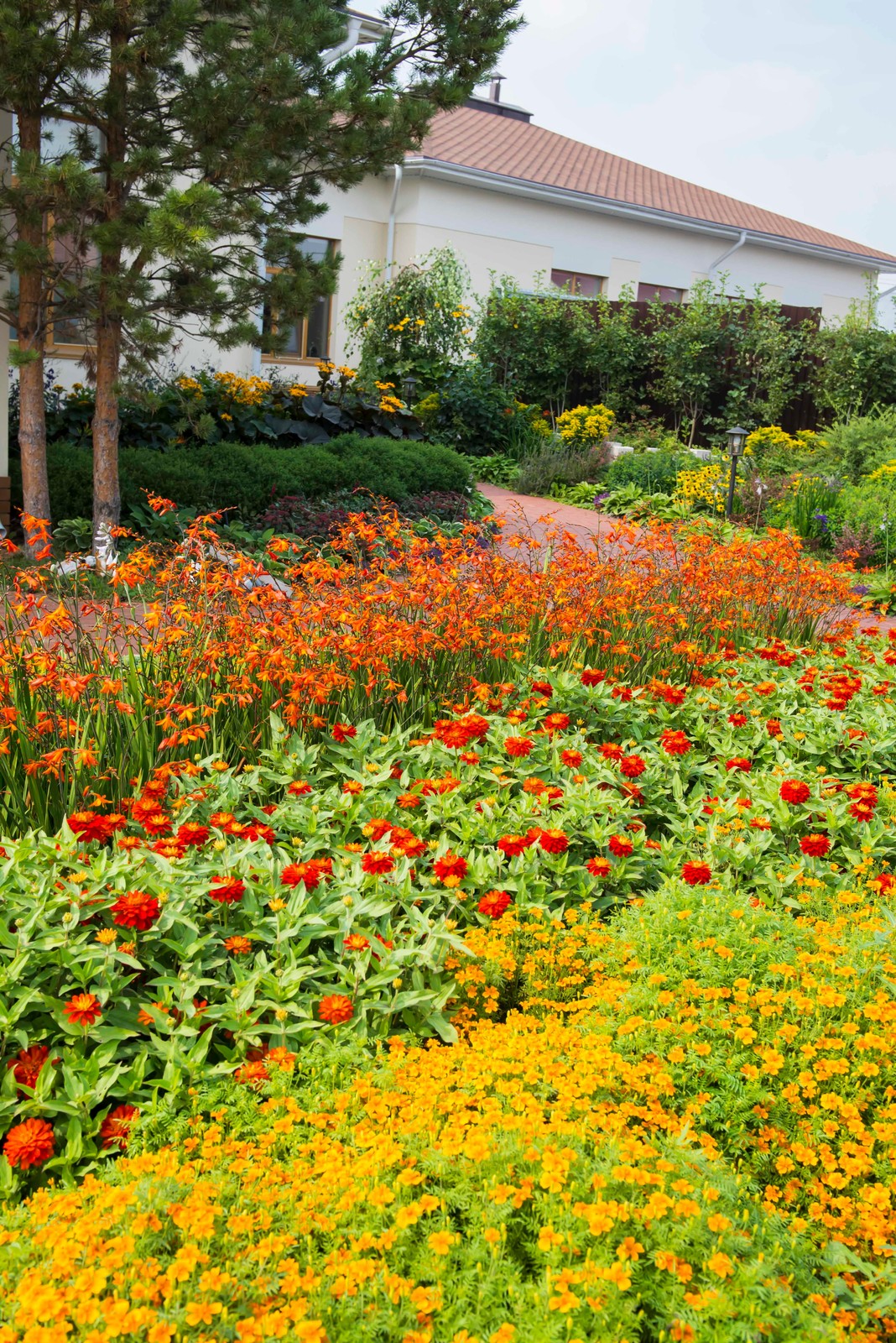 Цветники из однолетников