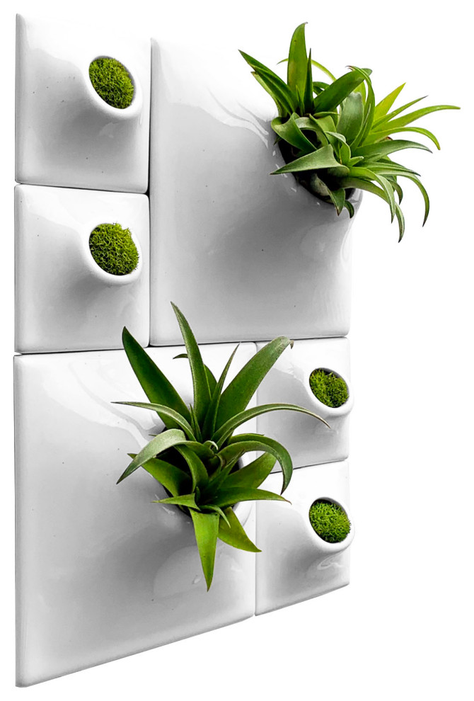 Modern Wall Planter Set, Node Living Wall, Ceramic, BR2 Contemporary