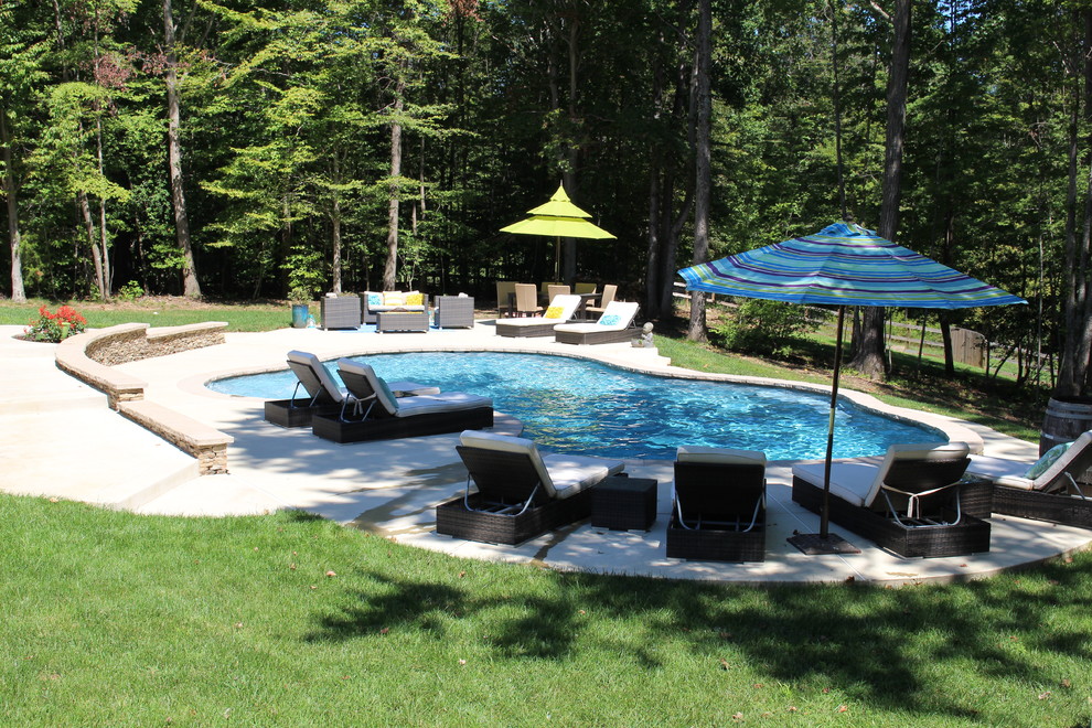 Mid-sized country custom-shaped natural pool in DC Metro with concrete slab.