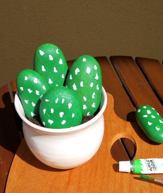 Fai da Te: Mini Cactus con le Pietre Colorate