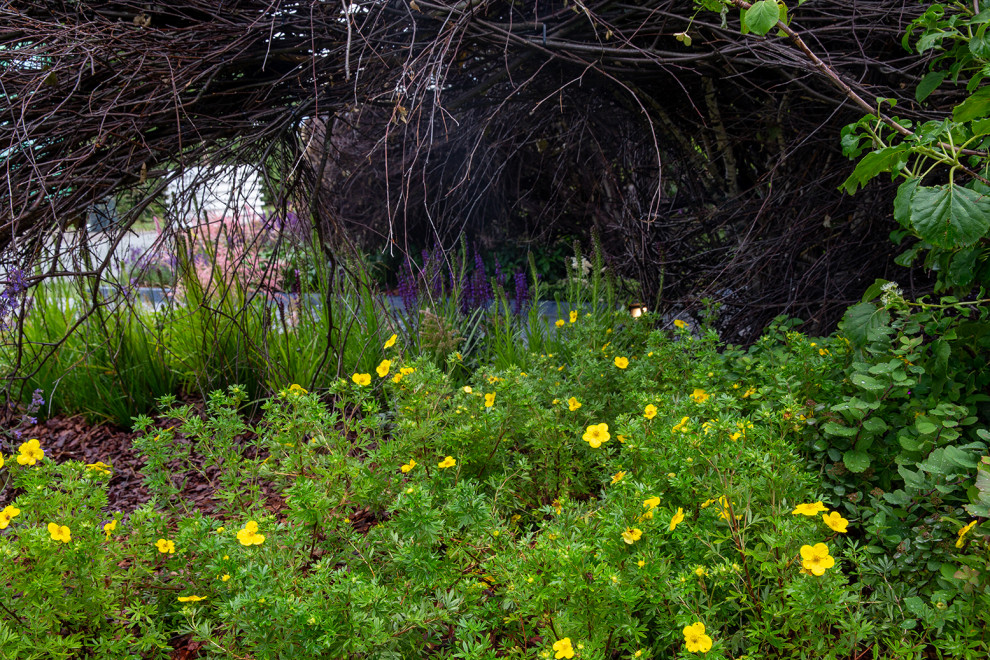 Фотосъемка Сада по сказке СиняяПтица на MFS 2019 Авторы М,Береснева М. ПРИНТЦ