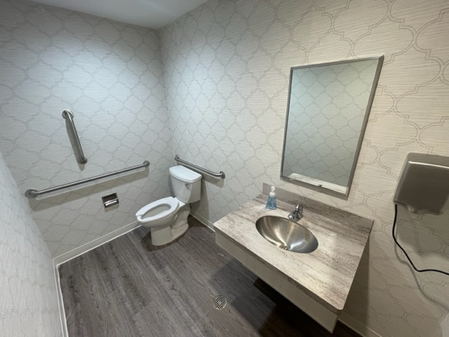 New Handicap Bathroom Railings With New Sink
