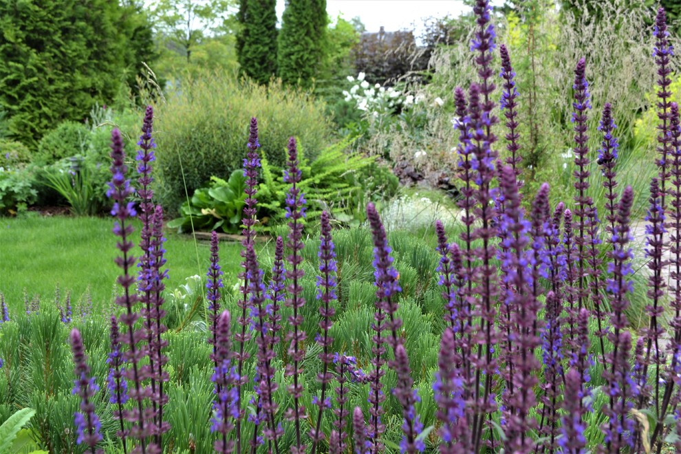Сады выпускников. "Уголок моей радости", сад Екатерины БАРСОВОЙ.