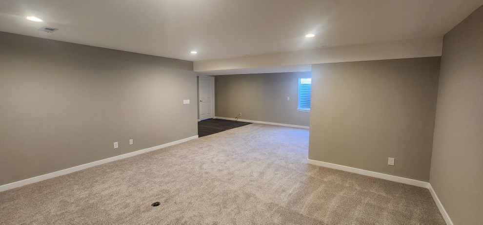 Longmont basement