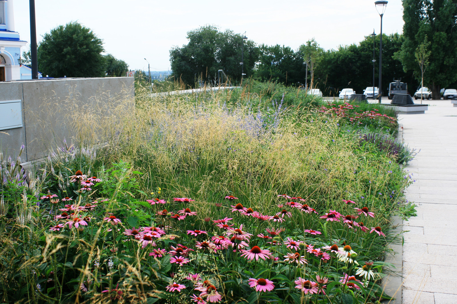 Цветники Советской площади