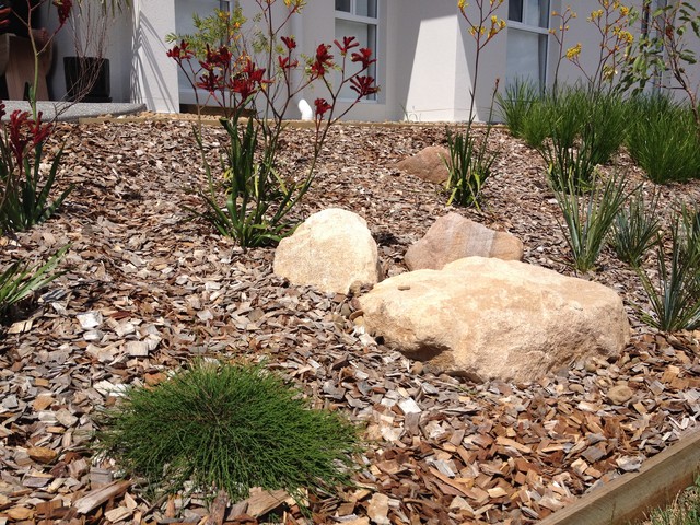 Warner Native Garden Contemporary Brisbane By Warner Native Garden Contemporary Brisbane By