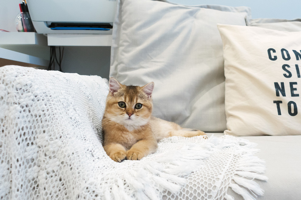 Рудольфа Нуриева