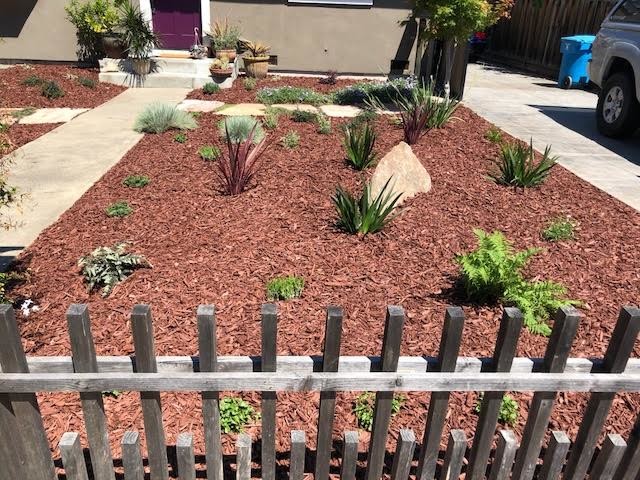 Drought Tolerant Landscaping- Front & Backyard