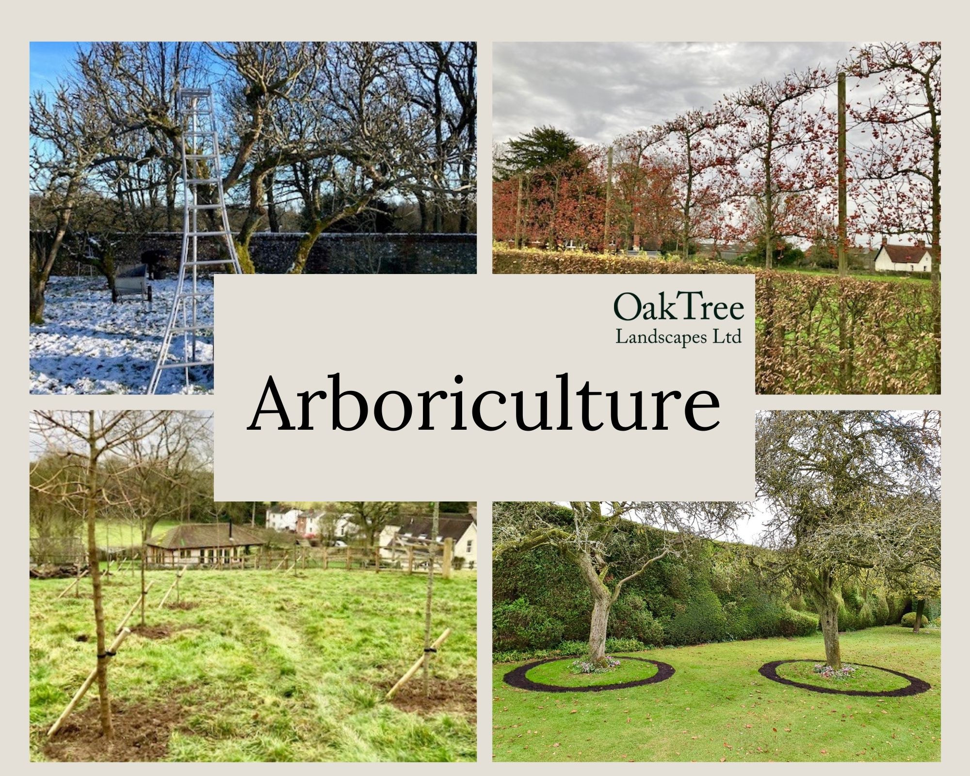 Arboriculture