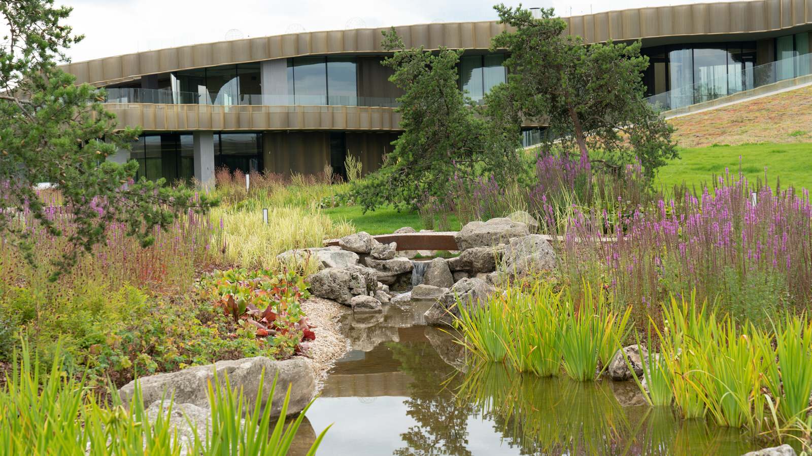 Природный сад. Жуковка XXI век. 2017-2018 гг.