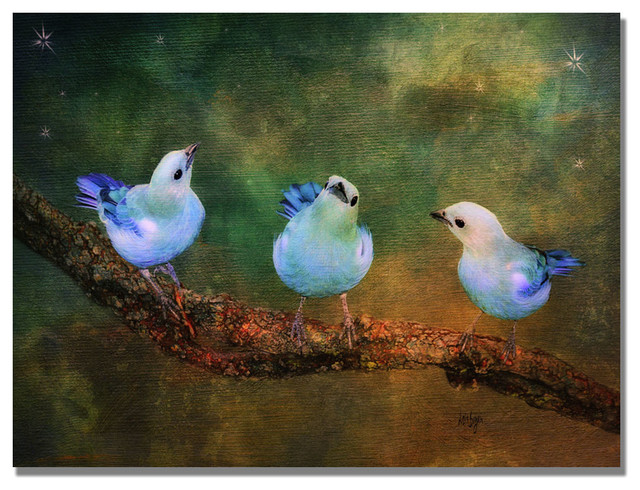 Three Little Blue Birds Canvas Art By Lois Bryan Traditional Prints And Posters By Trademark Global Houzz