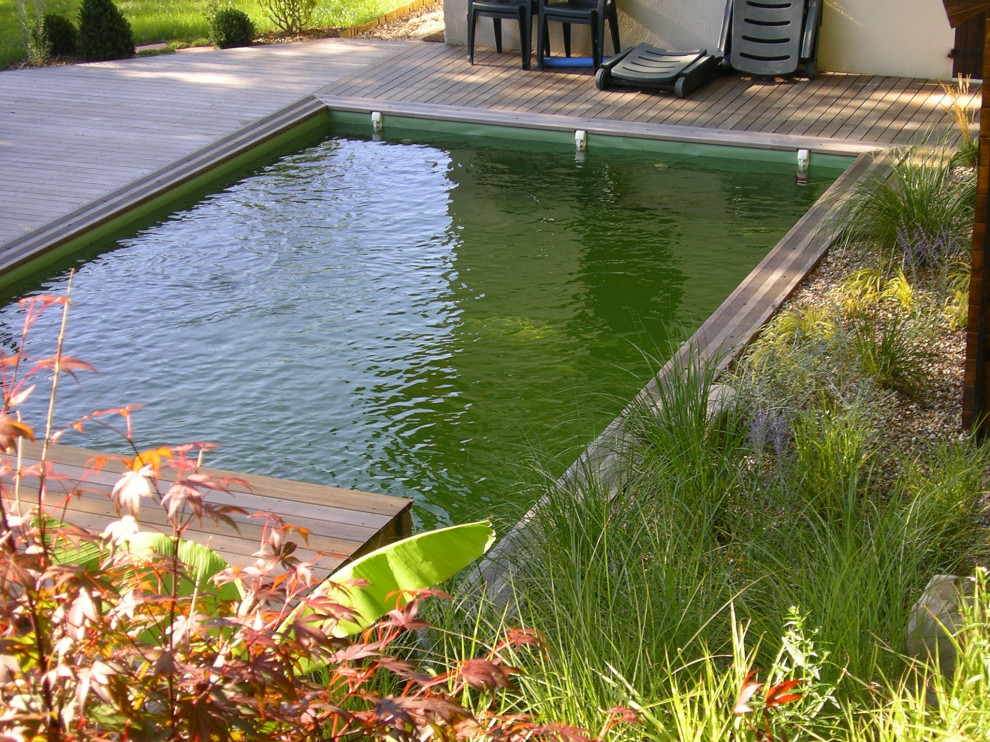 Piscine naturelle