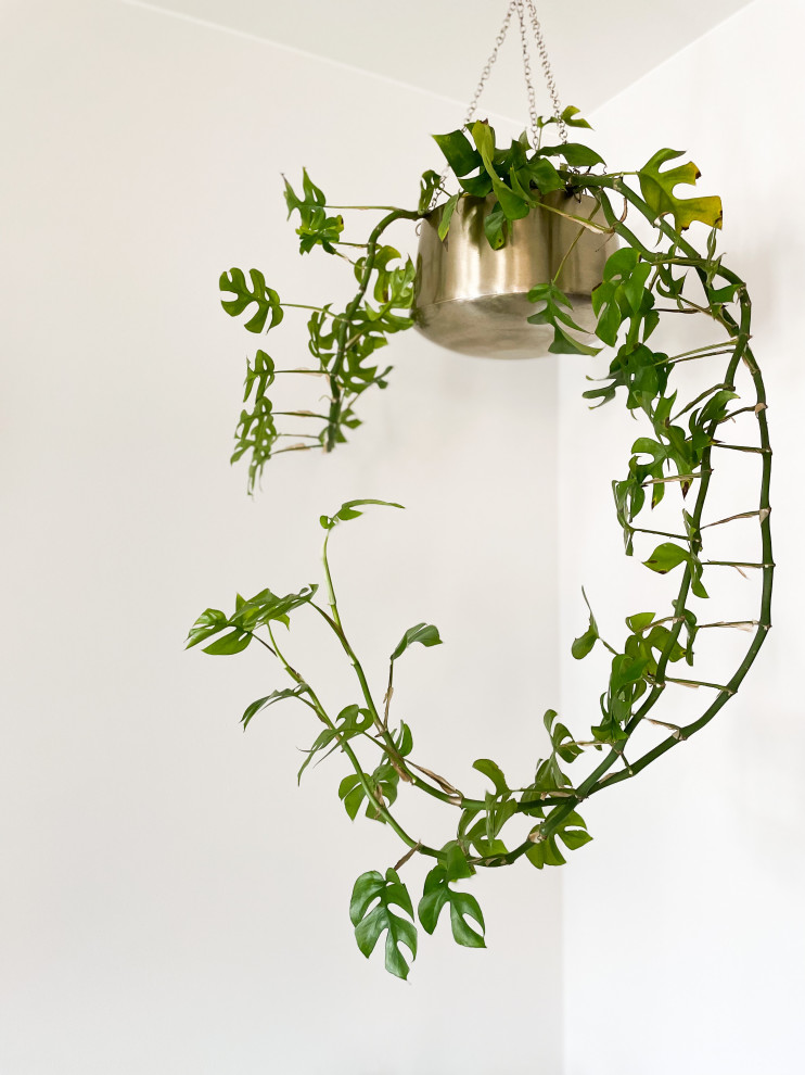 Modern Masculine Living | Cherry Creek, CO | Contemporary Condo Remodel