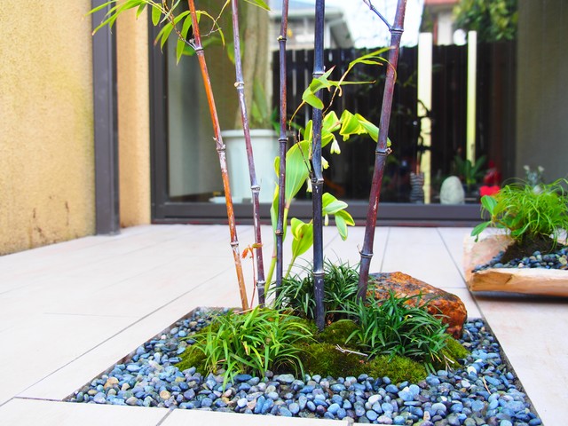 和モダンな坪庭 Japones Otras Zonas De 株式会社福樹園 Houzz