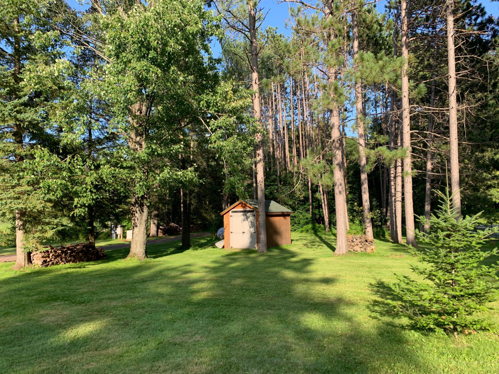 BEFORE- Instant Forest in Wisconsin