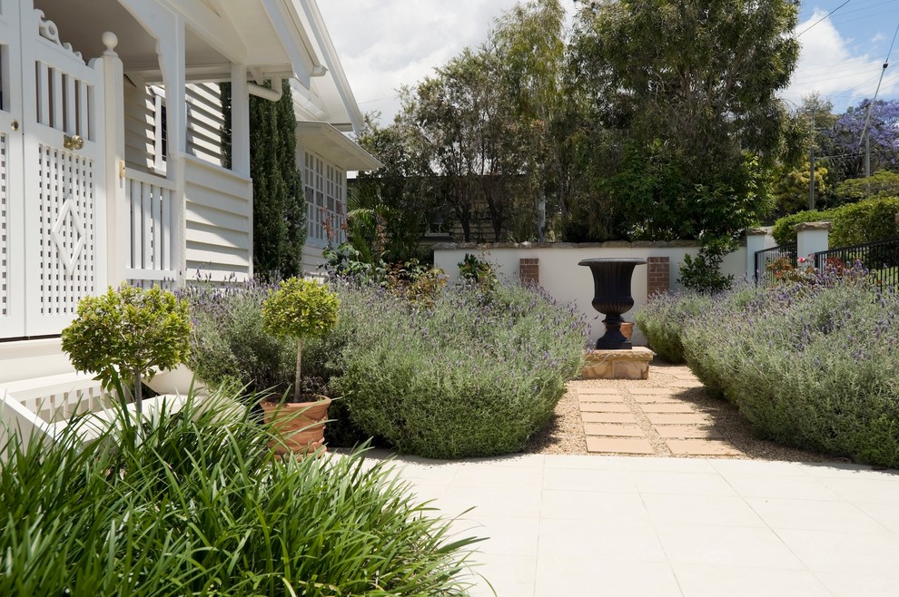 Photo of a traditional courtyard garden in Brisbane.