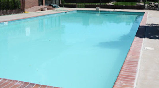 Pool - large backyard natural pool idea in Denver