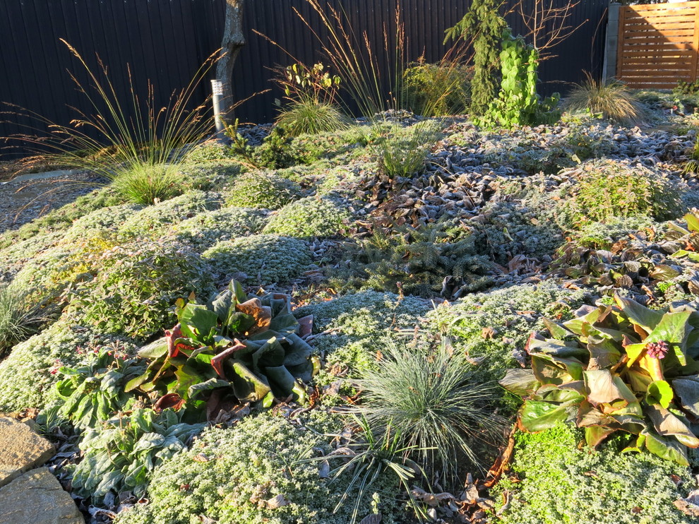 ЯГОДНОЕ ЛУКОШКО. СЕЗОН 2016. ПРЕДЗИМЬЕ. ПЕРВЫЕ ЗАМОРОЗКИ.
