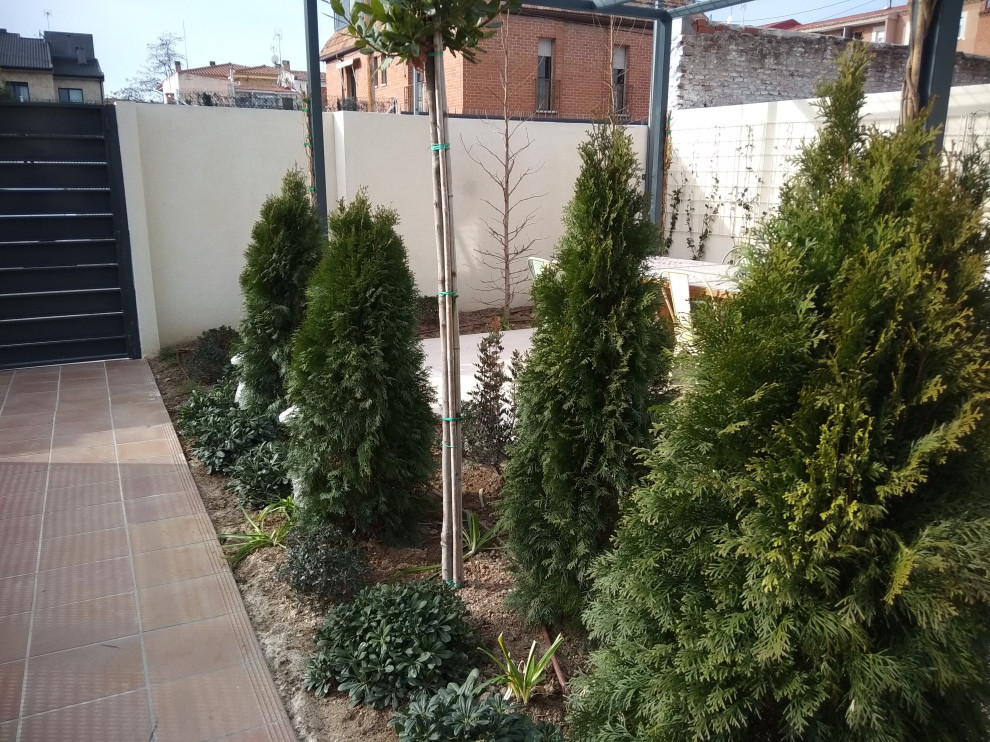 Mittelgroßer, Halbschattiger Moderner Garten im Winter mit Auffahrt, Pergola und Steinzaun in Madrid