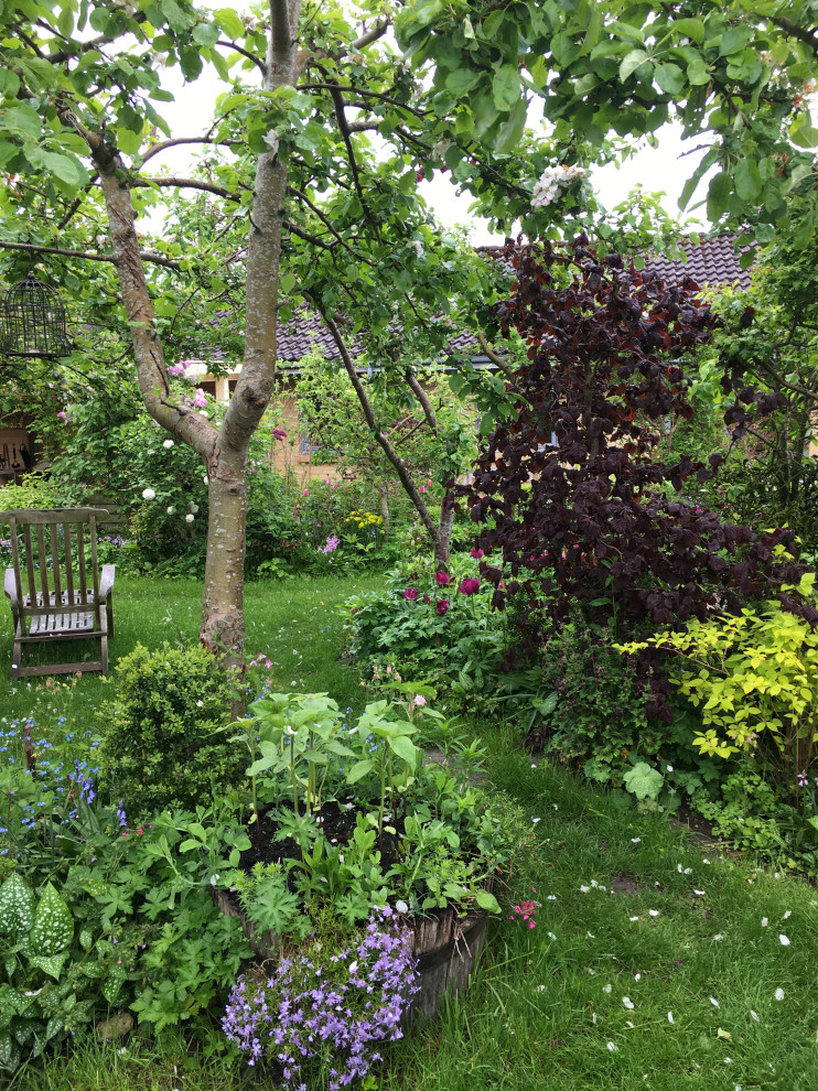 Стильный дизайн: участок и сад среднего размера на заднем дворе в стиле модернизм - последний тренд