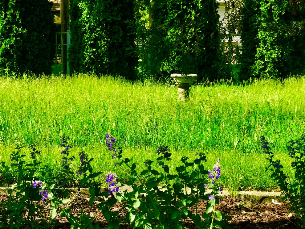Photo of a rustic landscaping in Chicago.