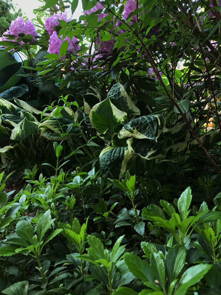 КП Княжье Озеро, 0,16 га