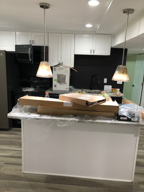 Basement Remodel