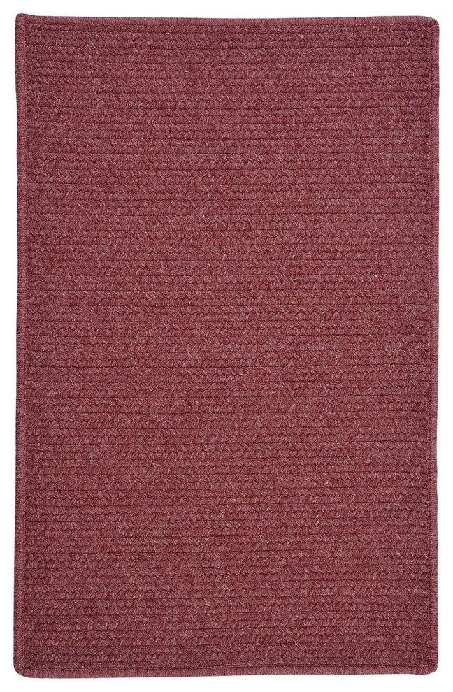 Braided Courtyard Area Rug, Rectangle, Pink, 2'x3'