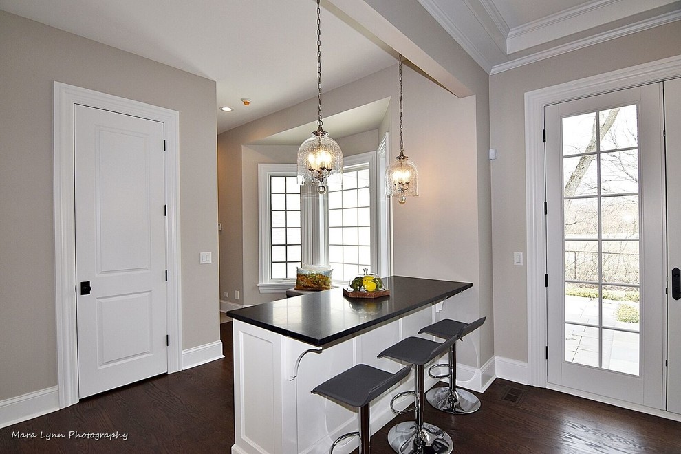 Kitchen - transitional kitchen idea in Chicago