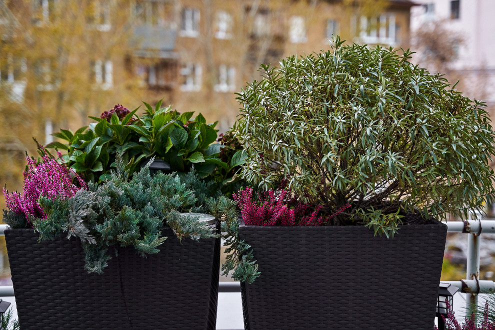 Озеленение террас