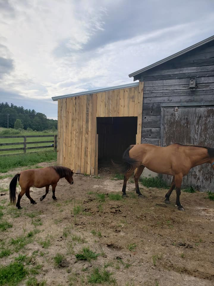 Barn addition