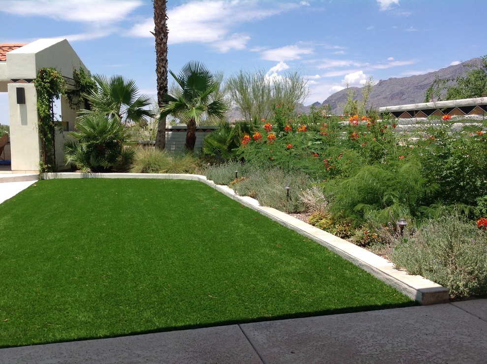 Inspiration for a large contemporary backyard full sun garden in Phoenix.