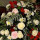 jo_kitteridge94