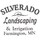 Silverado Landscaping & Irrigation