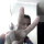 mohamed_quubbe
