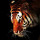 shyama_srinivas