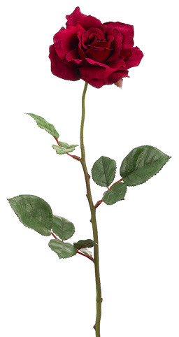 Silk Plants Direct Large Rose, Set of 12, Burgundy