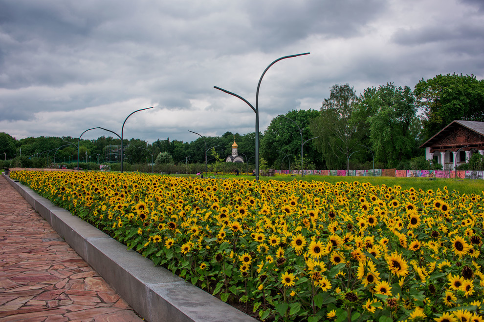 ЛАНДШАФТНЫЙ ПАРК ВДНХ Г.МОСКВА