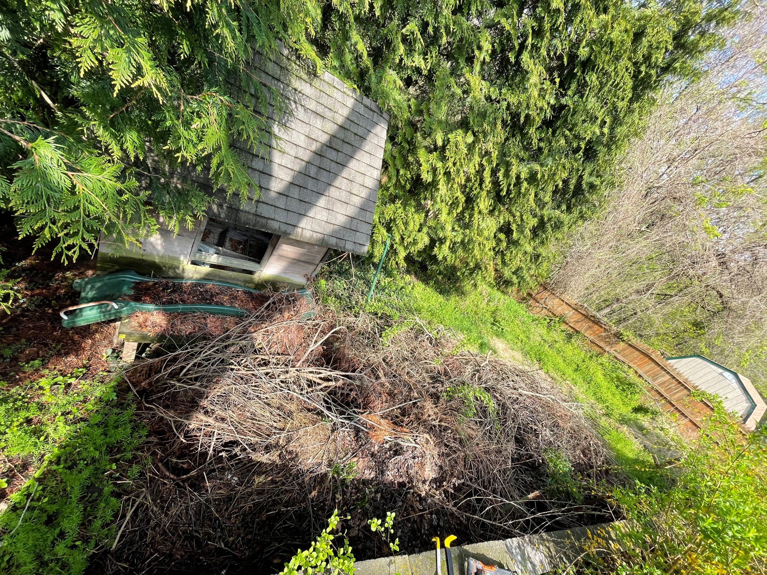 Playground demolition & bushes removal