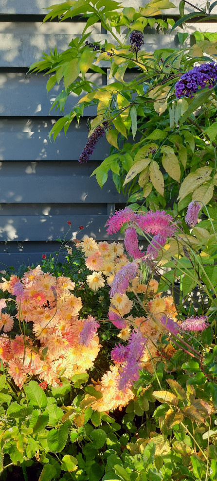 На фото: солнечный, осенний участок и сад среднего размера на внутреннем дворе в стиле неоклассика (современная классика) с клумбами, хорошей освещенностью и с деревянным забором с