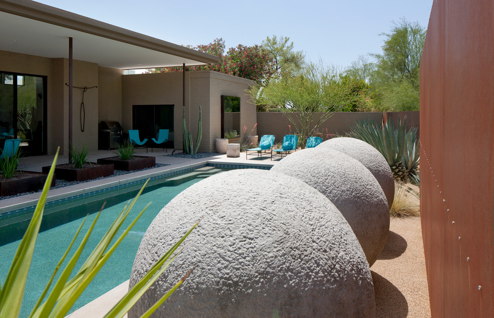 Photo of a modern garden in Phoenix.