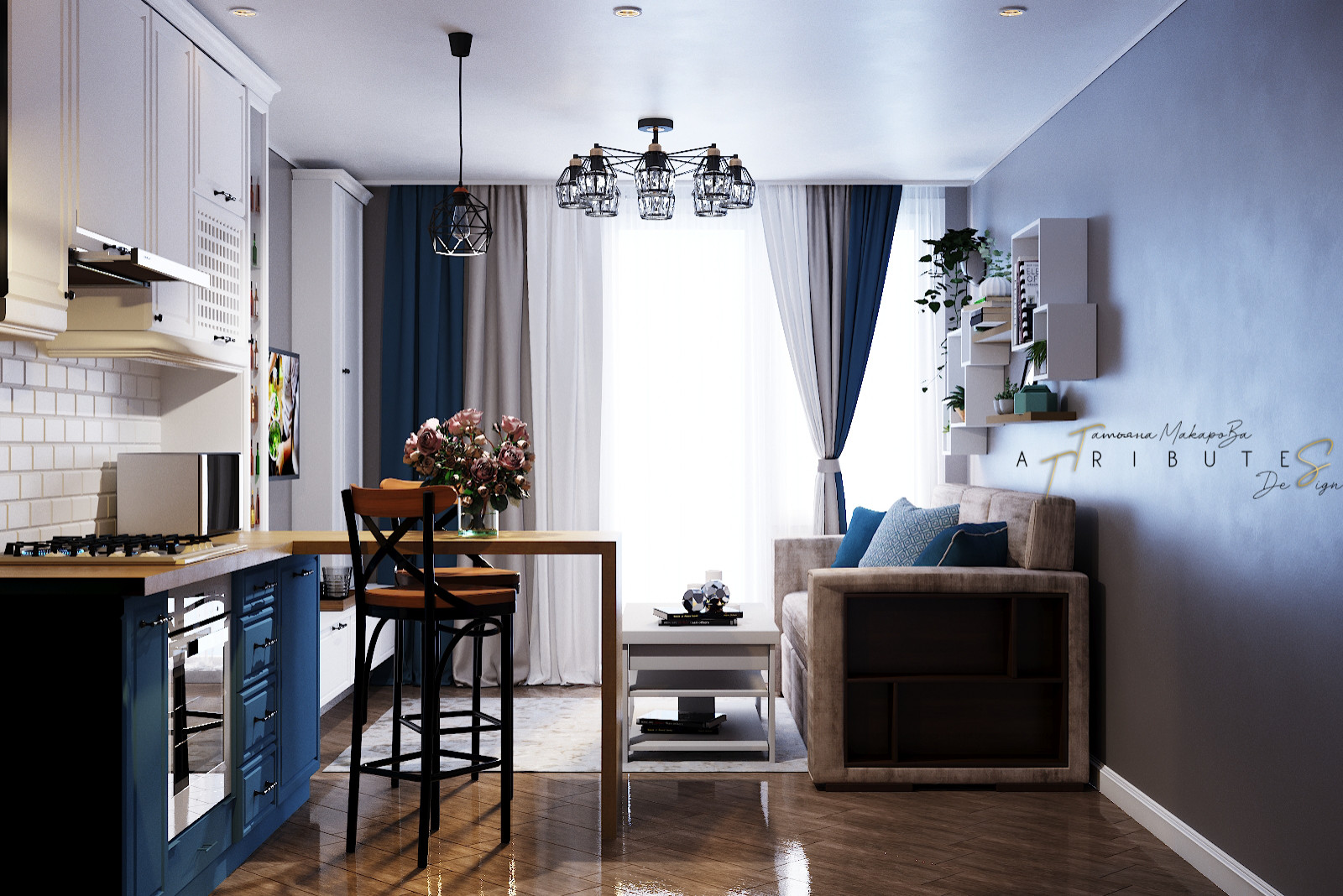 Кухня-гостиная