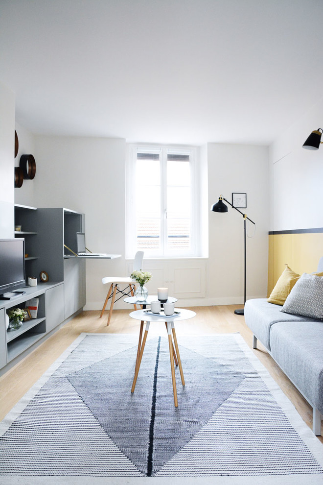 Scandinavian living room in Paris.
