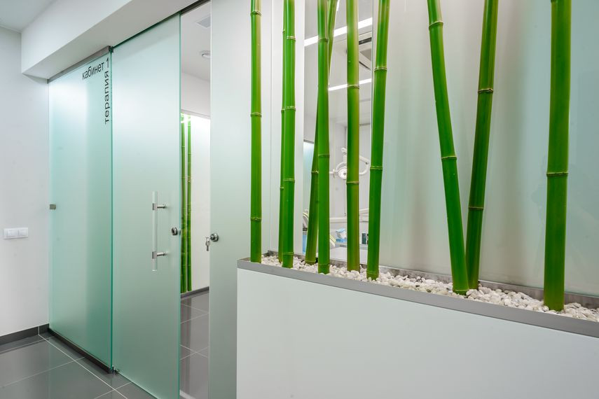 Стоматологическая клиника