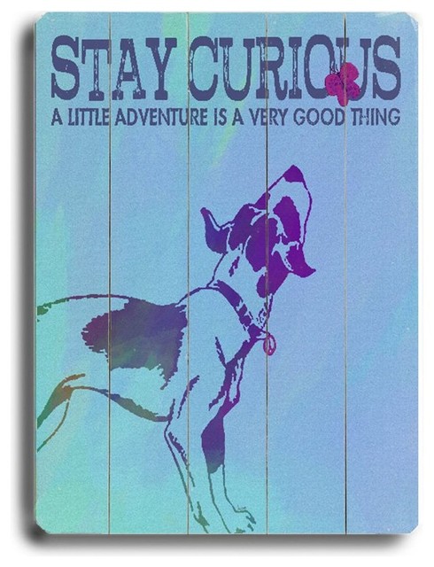 Artehouse 14 x 20 in. Stay Curious Wall Art Multicolor - 0003-9344-26