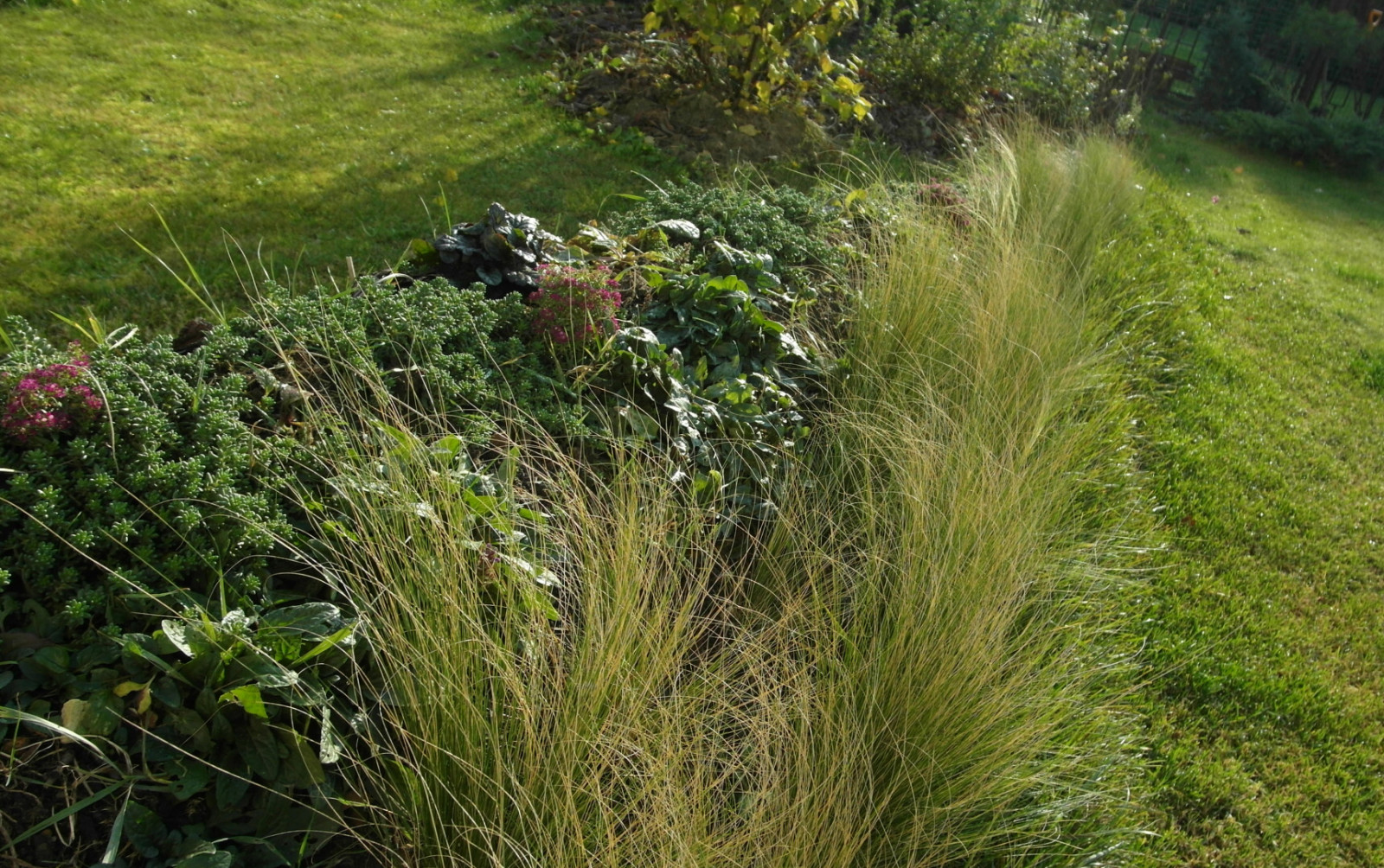 Геопластика