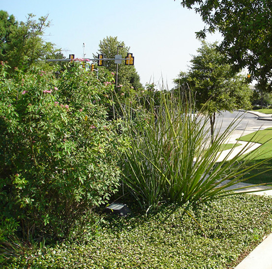 Gallery garden