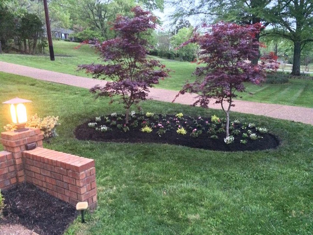 Front Yard american-traditional-garden