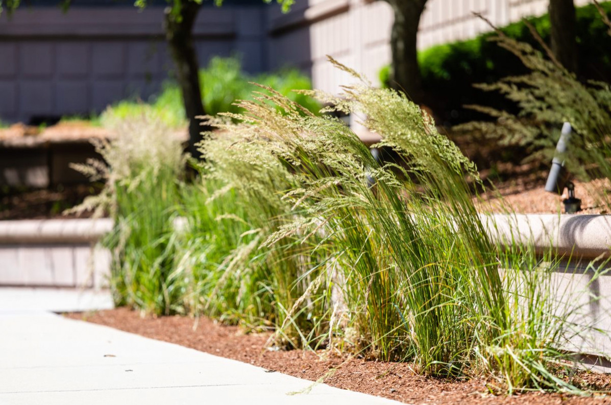 Landscape Contracting and Design