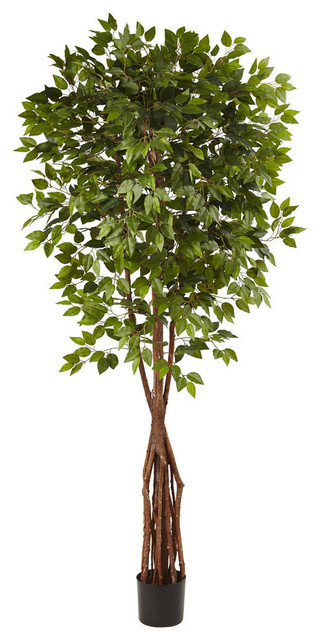 7.5' Super Deluxe Ficus Tree